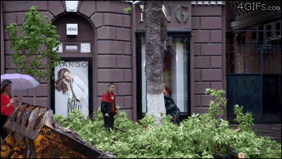 Acid Gifdump, September 07, 2016 (25 gifs)