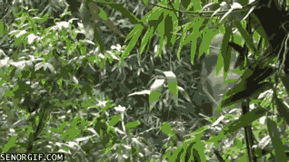 Acid Gifdump, September 07, 2016 (25 gifs)