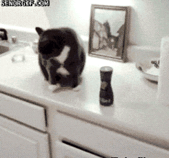Acid Gifdump, September 07, 2016 (25 gifs)