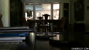 Acid Gifdump, September 07, 2016 (25 gifs)