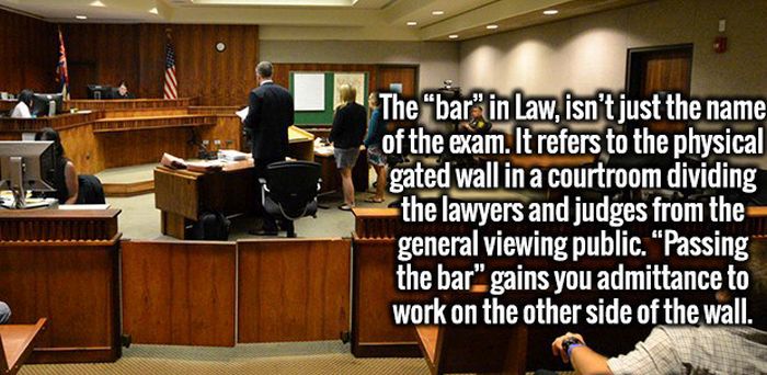 Fresh Facts That Will Take Your Ignorance And Crush It To Bits (20 pics)