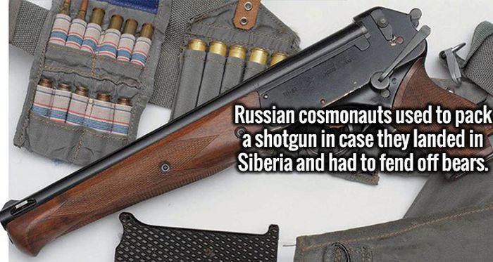 Fresh Facts That Will Take Your Ignorance And Crush It To Bits (20 pics)