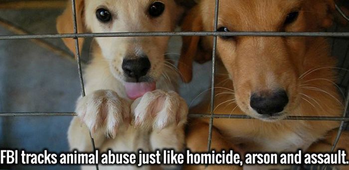 Fresh Facts That Will Take Your Ignorance And Crush It To Bits (20 pics)