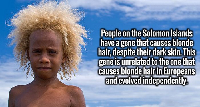Fresh Facts That Will Take Your Ignorance And Crush It To Bits (20 pics)