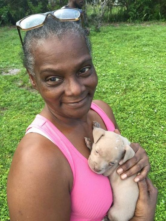 Firefighters Resuscitate Adorable Puppy Found In House Fire (4 pics)