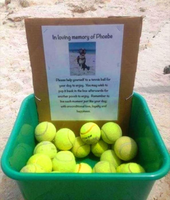 Incredible Acts Of Kindness That Will Restore Your Faith In The Human Race (25 pics)