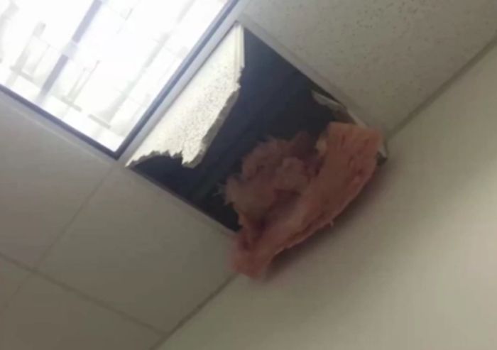 How A Murder Suspect Escaped Police Custody (9 pics)