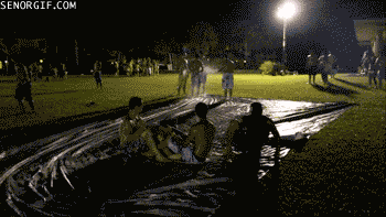 Acid Gifdump, September 09, 2016 (25 gifs)