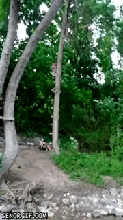 Acid Gifdump, September 09, 2016 (25 gifs)