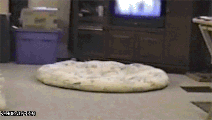 Acid Gifdump, September 09, 2016 (25 gifs)