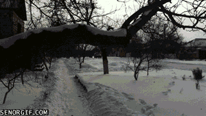 Acid Gifdump, September 09, 2016 (25 gifs)