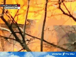 Acid Gifdump, September 09, 2016 (25 gifs)