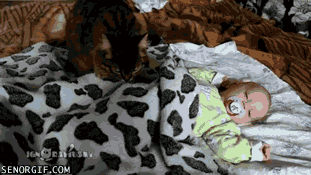 Acid Gifdump, September 09, 2016 (25 gifs)
