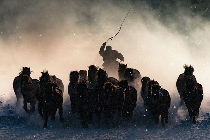 Random Photos That Accidentally Resemble Renaissance Art (21 pics)
