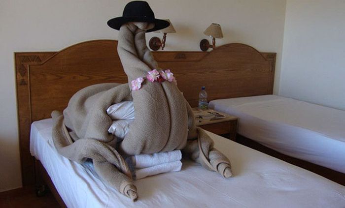 People Who Trolled Hotel Staff With Ridiculous Room Requests (18 pics)