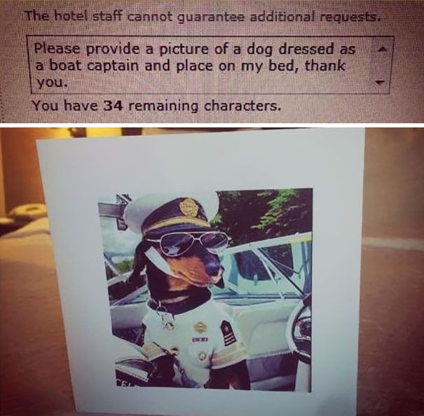 People Who Trolled Hotel Staff With Ridiculous Room Requests (18 pics)