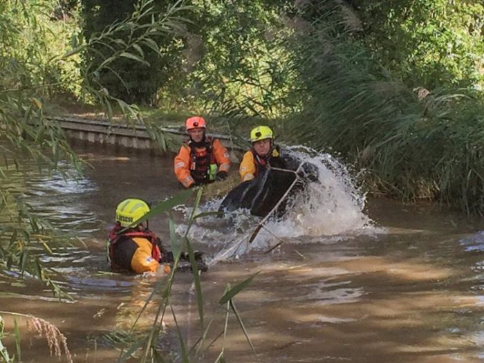 Cow Gets Rescued After An Adventure In The River (6 pics)