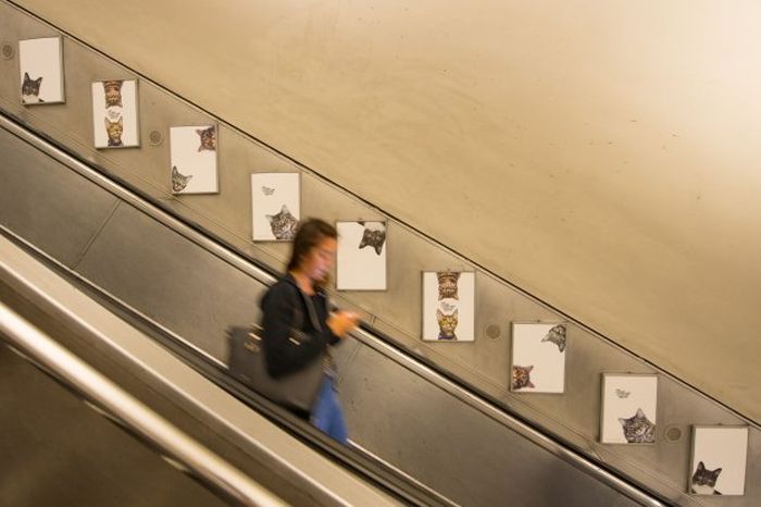 Citizens Replaced Every Ad At A London Underground Station With Cats (7 pics)