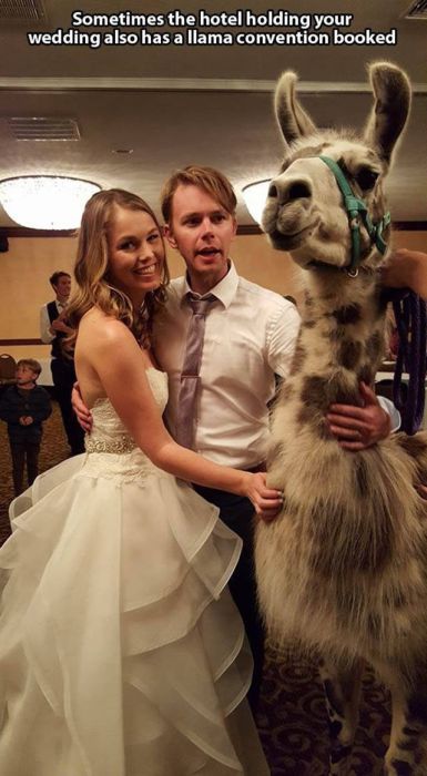 Life Is Full Of Awkward And Uneasy Moments (45 pics)