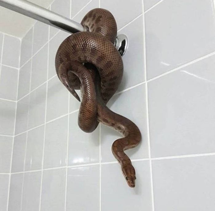 Life Is Full Of Awkward And Uneasy Moments (45 pics)