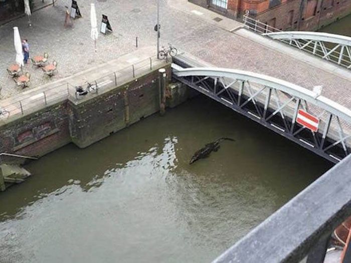 Life Is Full Of Awkward And Uneasy Moments (45 pics)