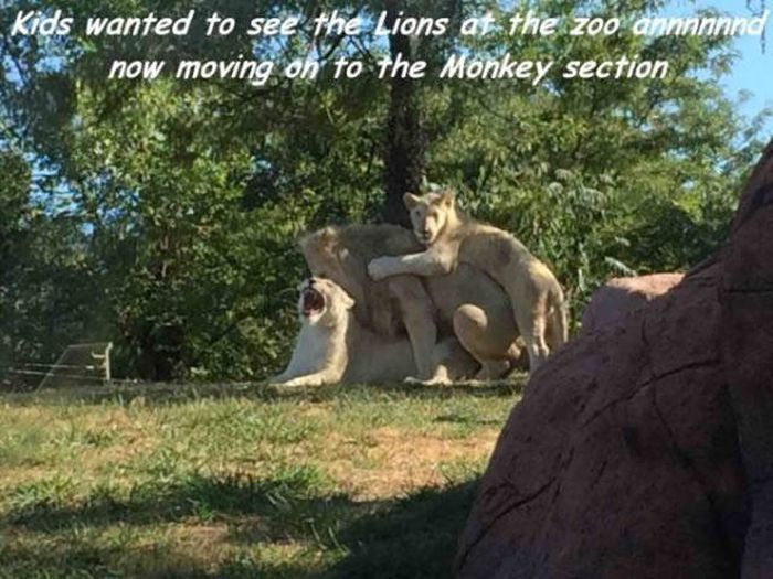 Dirty Humor Is Without A Doubt The Best Kind Of Humor (39 pics)
