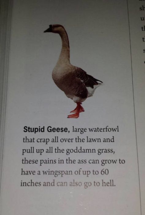 Dirty Humor Is Without A Doubt The Best Kind Of Humor (39 pics)