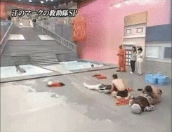Awkward Japanese Game Show GIFs That Will Make You Say WTF (24 gifs)