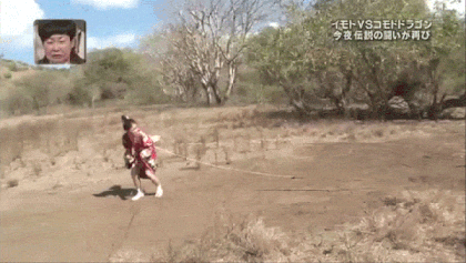 Awkward Japanese Game Show GIFs That Will Make You Say WTF (24 gifs)
