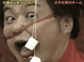 Awkward Japanese Game Show GIFs That Will Make You Say WTF (24 gifs)
