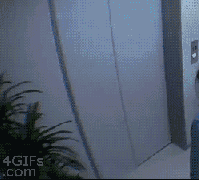 Awkward Japanese Game Show GIFs That Will Make You Say WTF (24 gifs)