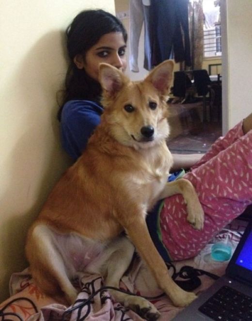 Woman Turns Down Arranged Marriage Because Of Her Dog (5 pics)