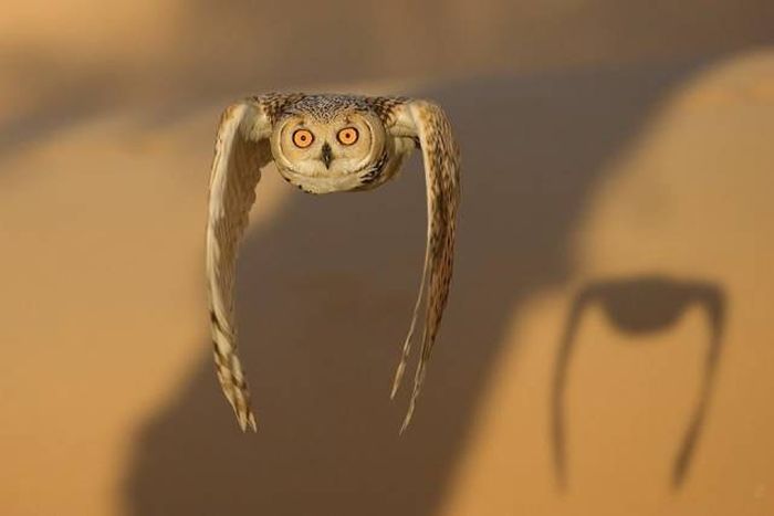Acid Picdump (92 pics)