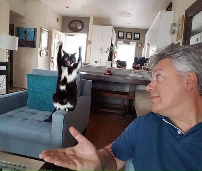 Acid Picdump (92 pics)