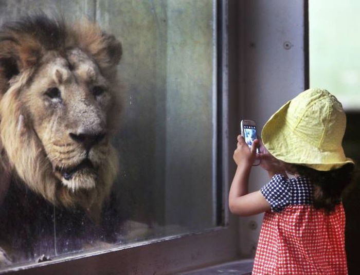 Acid Picdump (92 pics)