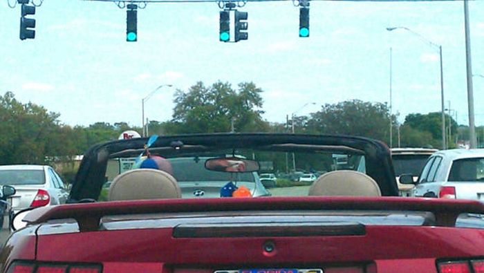 Acid Picdump (92 pics)
