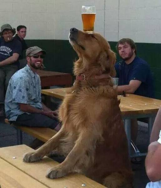 Acid Picdump (92 pics)
