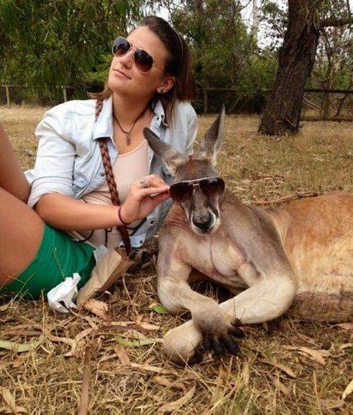 Acid Picdump (92 pics)