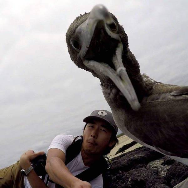 Acid Picdump (92 pics)