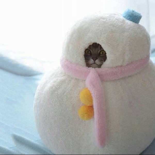 Acid Picdump (92 pics)