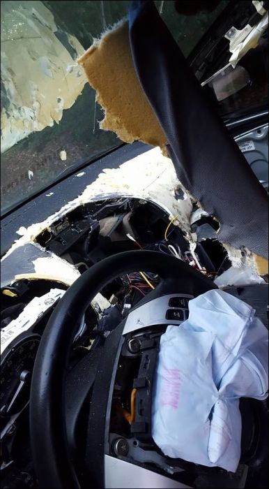 Bear Tears Car Apart While Looking For Food (9 pics)