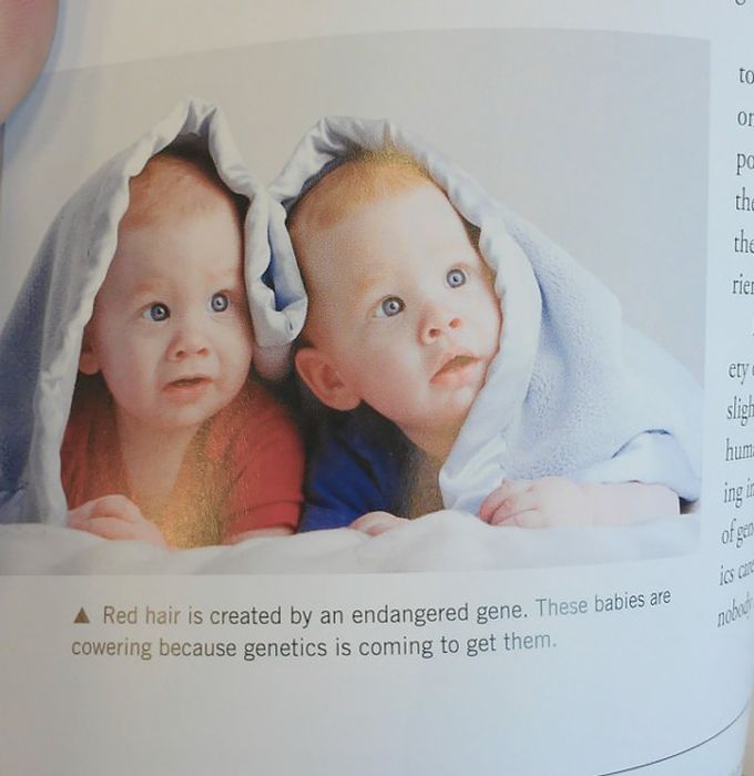 The Most Hilarious Things Students Have Ever Found In Textbooks (30 pics)