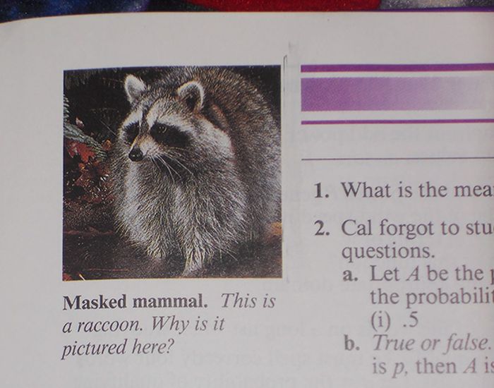 The Most Hilarious Things Students Have Ever Found In Textbooks (30 pics)