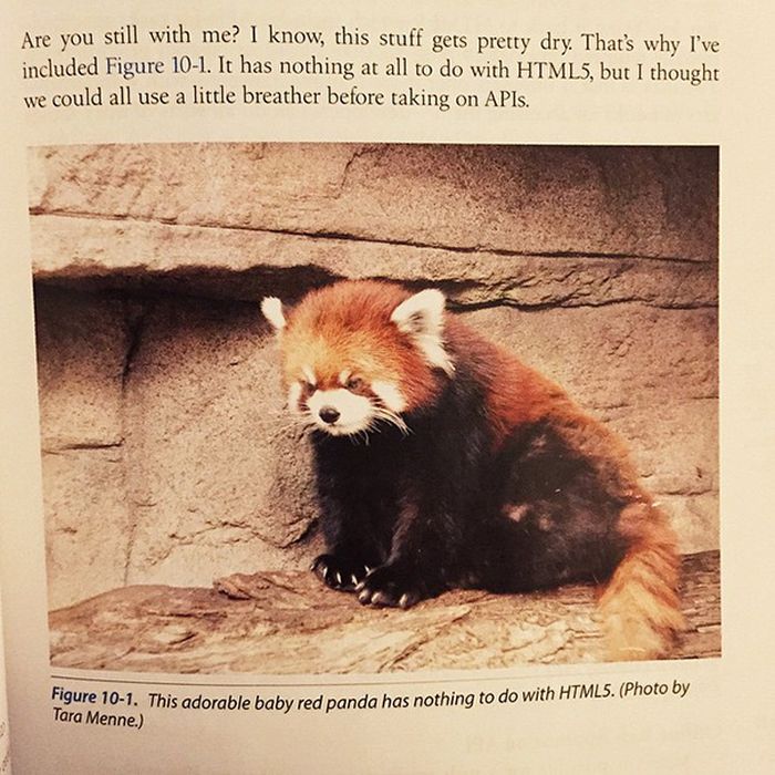 The Most Hilarious Things Students Have Ever Found In Textbooks (30 pics)