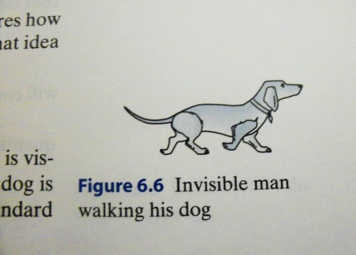 The Most Hilarious Things Students Have Ever Found In Textbooks (30 pics)