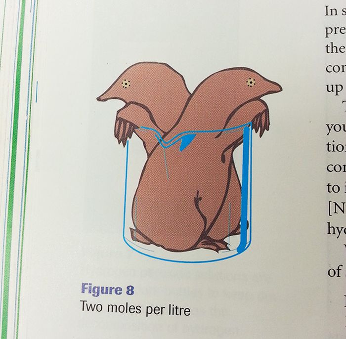 The Most Hilarious Things Students Have Ever Found In Textbooks (30 pics)