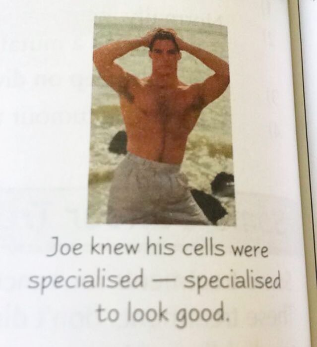 The Most Hilarious Things Students Have Ever Found In Textbooks (30 pics)