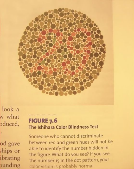 The Most Hilarious Things Students Have Ever Found In Textbooks (30 pics)