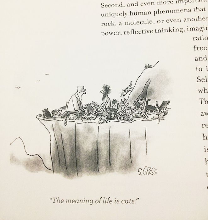 The Most Hilarious Things Students Have Ever Found In Textbooks (30 pics)