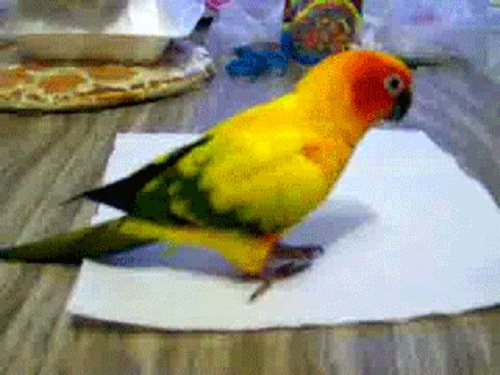 Acid Gifdump, September 19, 2016 (25 gifs)